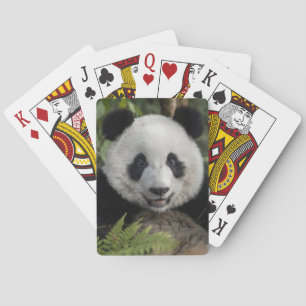 Happy young panda, China Playing Cards
