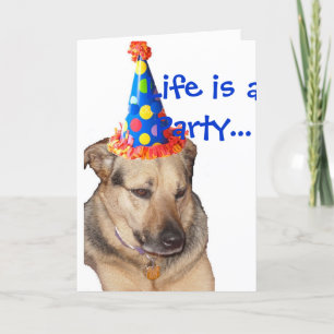 HappyBirthday, Life is a Party... Card