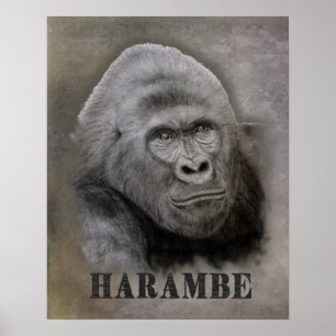Harambe (Graphite Drawing) Poster