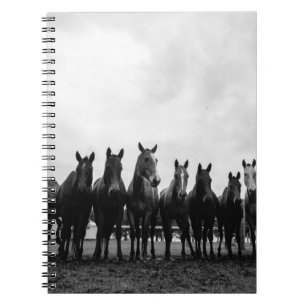 HARAS LA POLACA NOTEBOOK