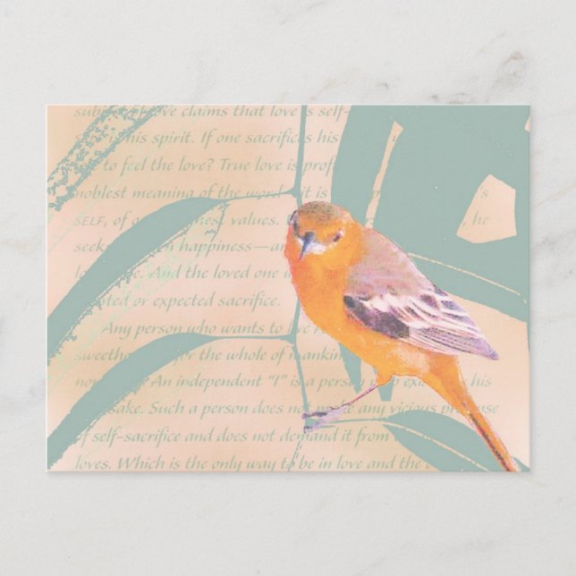 HARBINGER OF SPRING POSTCARD (Front)