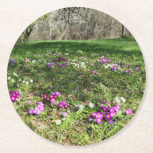 Harbinger of Spring Round Paper Coaster