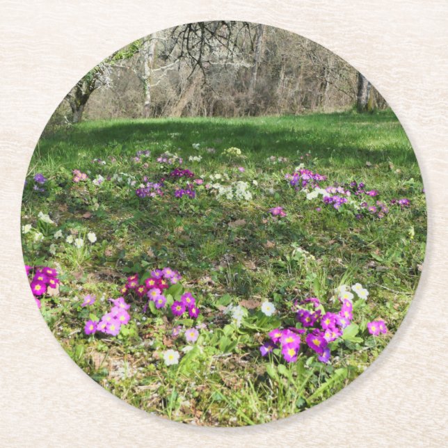 Harbinger of Spring  Round Paper Coaster (Front)