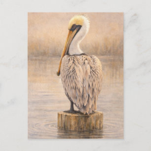 Harbor Pelican Coastal Wildlife Art Postcard