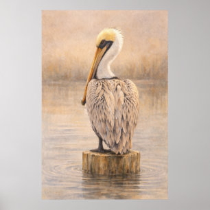 Harbor Pelican   Coastal Wildlife Art   Poster