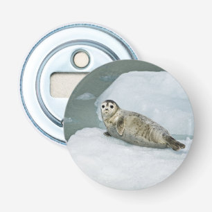 Harbor Seal Bottle Opener