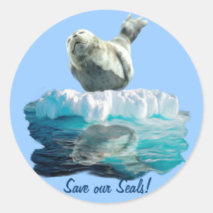HARBOR-SEAL PUP Wildlife-supporter Sticker