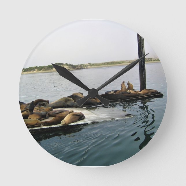 Harbor Seals, Morro Bay, California Round Clock (Front)
