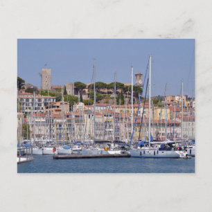 Harbour of Cannes in France Postcard