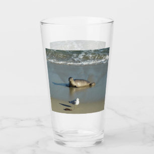 Harbour Seal at La Jolla California Glass