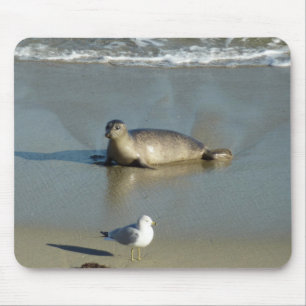 Harbour Seal at La Jolla California Mouse Pad