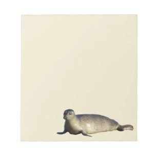 Harbour Seal at La Jolla California Notepad