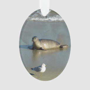 Harbour Seal at La Jolla California Ornament