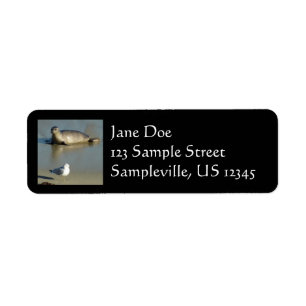 Harbour Seal at La Jolla California Return Address Label