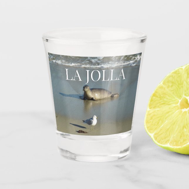 Harbour Seal at La Jolla California Shot Glass (Front)