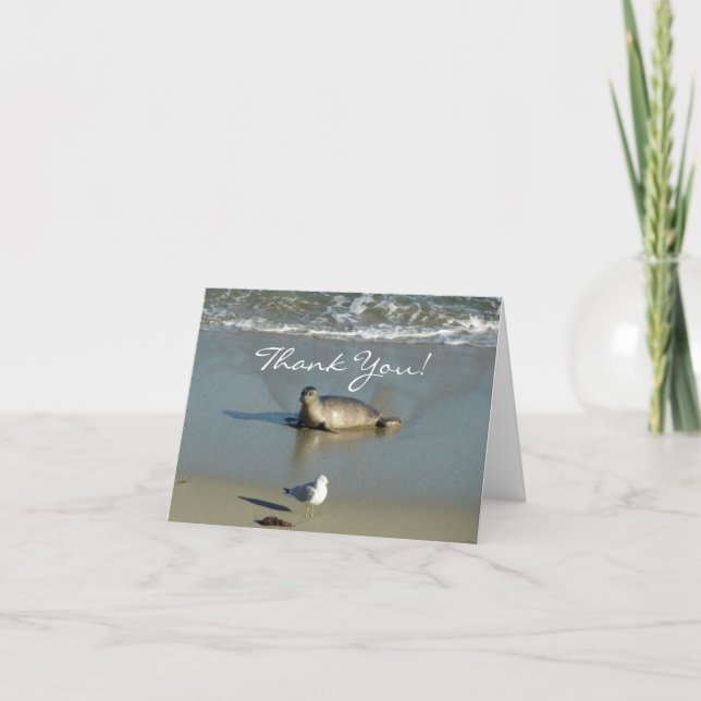 Harbour Seal at La Jolla California Thank You Card (Front)