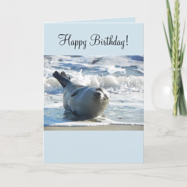 Harbour Seal Birthday Card (Front)