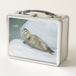 Harbour Seal Metal Lunch Box