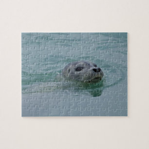 Harbour Seal swimming in Jokulsarlon glacial lake Jigsaw Puzzle