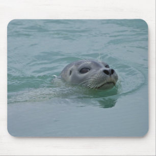 Harbour Seal swimming in Jokulsarlon glacial lake Mouse Pad