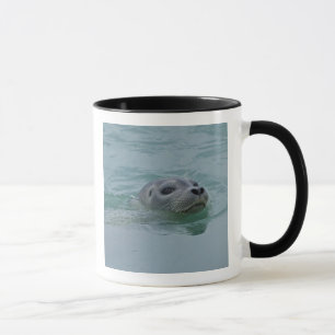 Harbour Seal swimming in Jokulsarlon glacial lake Mug