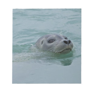 Harbour Seal swimming in Jokulsarlon glacial lake Notepad