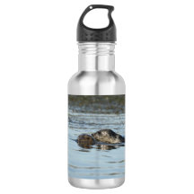 Harbour seal water bottle