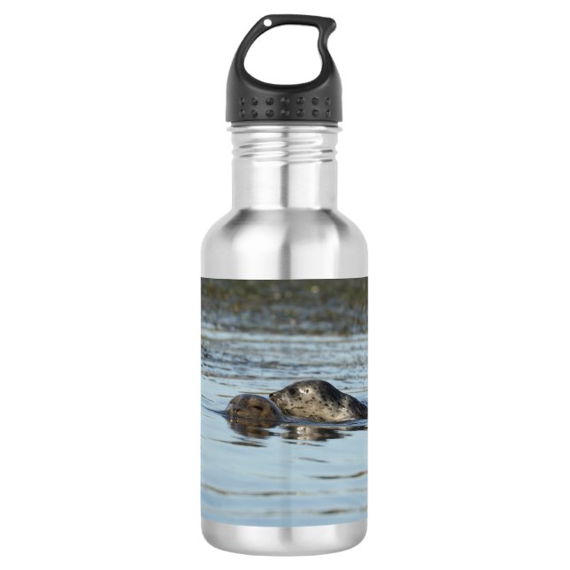 Harbour seal water bottle (Front)