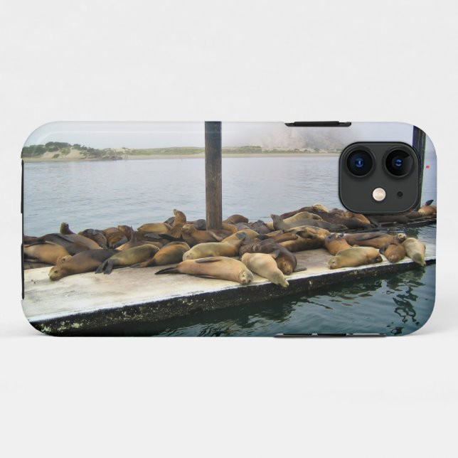 Harbour Seals, Morro Bay, California Case-Mate iPhone Case (Back (Horizontal))