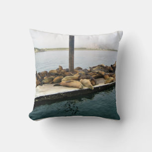 Harbour Seals, Morro Bay, California Cushion