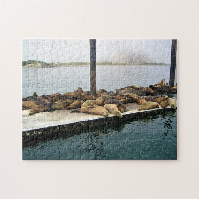 Harbour Seals, Morro Bay, California Jigsaw Puzzle (Horizontal)