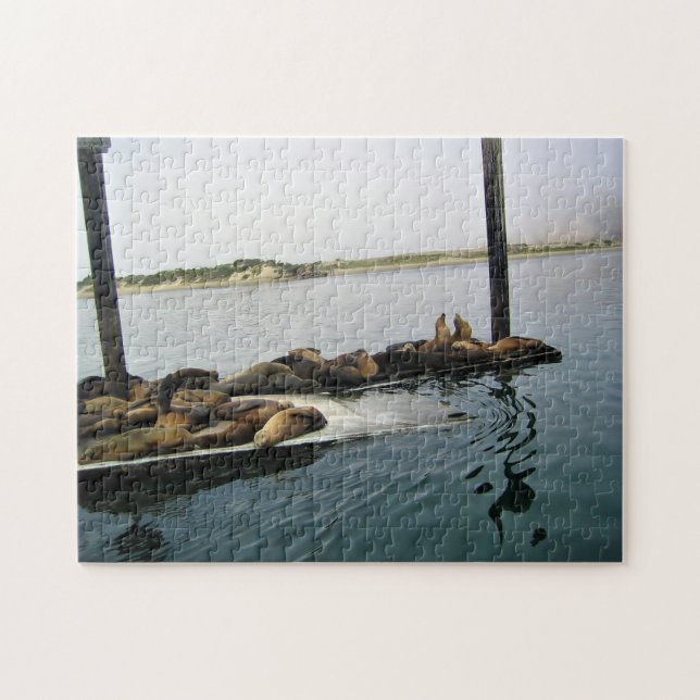 Harbour Seals, Morro Bay, California Jigsaw Puzzle (Horizontal)
