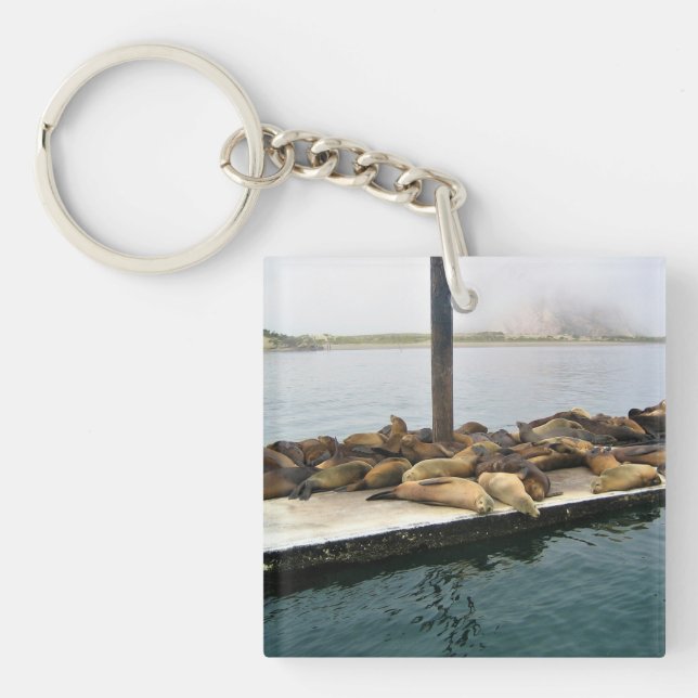 Harbour Seals, Morro Bay, California Key Ring (Front)