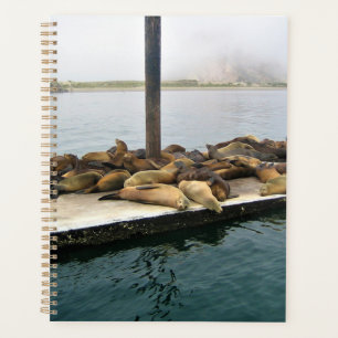Harbour Seals, Morro Bay, California Planner