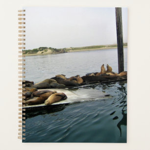 Harbour Seals, Morro Bay, California Planner