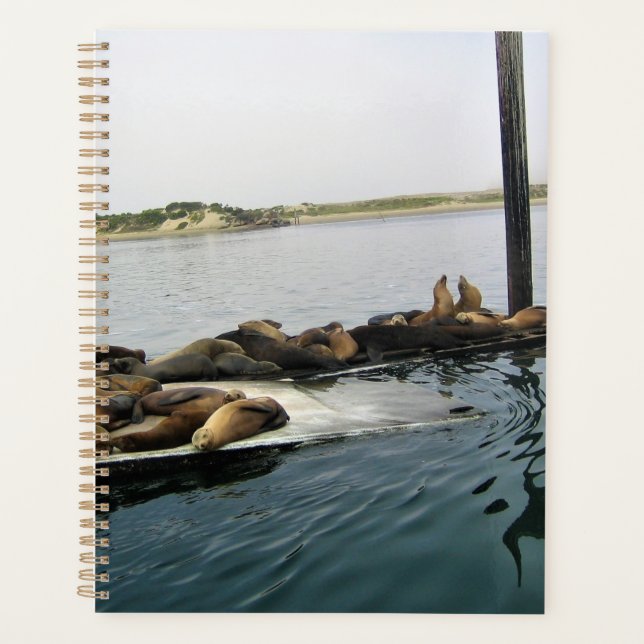 Harbour Seals, Morro Bay, California Planner (Front)