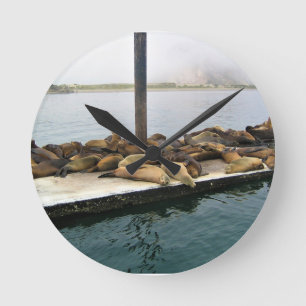 Harbour Seals, Morro Bay, California Round Clock