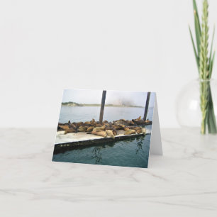 Harbour Seals, Morro Bay, California Thank You Card