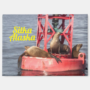 Harbour Seals - Sitka Alaska Rectangular Magnet