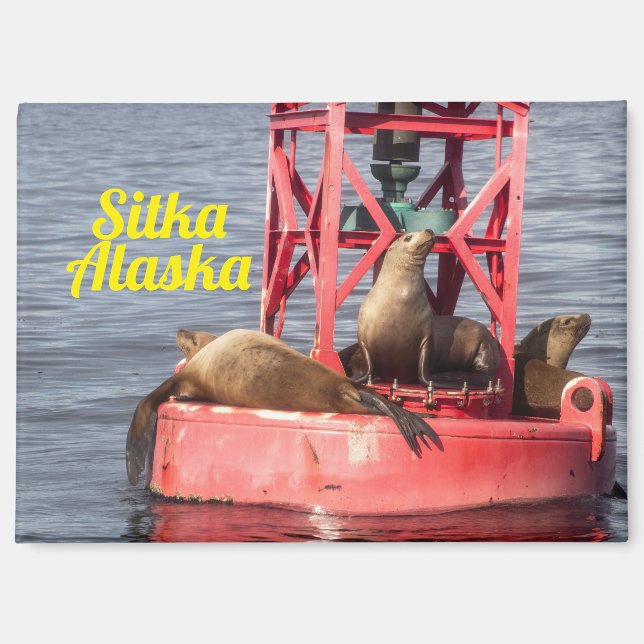 Harbour Seals - Sitka Alaska Rectangular Magnet (Front)