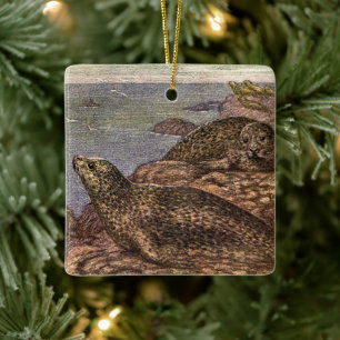 Harbour Seals, Vintage Marine Life Ocean Animals Ceramic Ornament