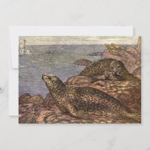 Harbour Seals, Vintage Marine Life Ocean Animals Invitation