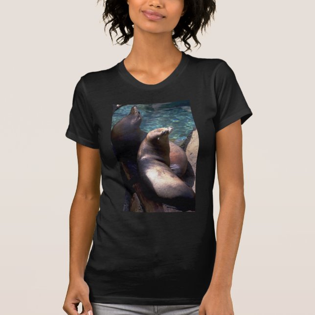 Harbour Seals W/ Heads Up T-Shirt (Front)