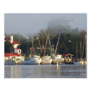 Harbour Shrimp Boats at Morning Photo Print