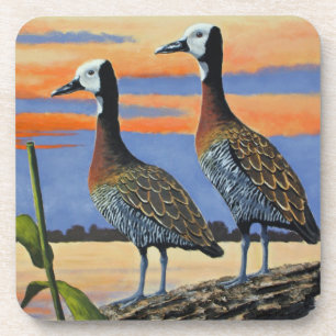 Hard Plastic Coaster