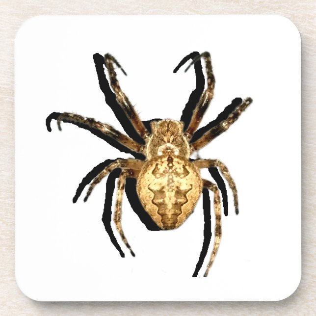 Hard plastic coaster (Front)