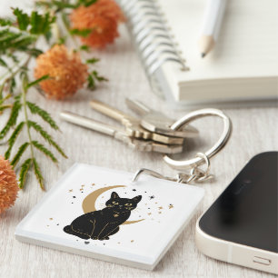 Hard plastic coaster key ring