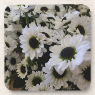 Hard Plastic Coaster Set - Black & White Daisies
