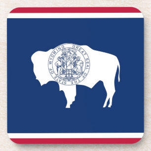 Hard plastic coaster with flag of Wyoming