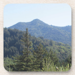 Hard Plastic Coasters Mt Tamalpais So Green